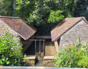 Balade autour de Cerisé - Alençon - 3