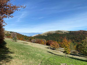 De bergkammen van de Lure-berg - Saint-Étienne-les-Orgues - 22