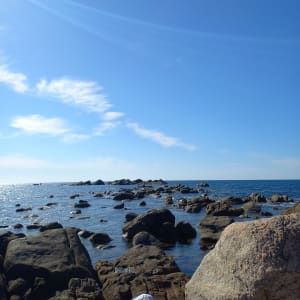 La pointe de Porto Polo de a Punta - Serra-di-Ferro - 13