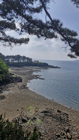 Pointe et Îles du Bendy - Logonna-Daoulas - 19