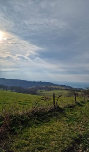 Hauteurs de Dourgne et traversée du désert à Saint-Ferréol - Dourgne - 25
