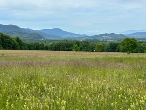 Plateau de Gavot au départ de Champanges - Champanges - 2
