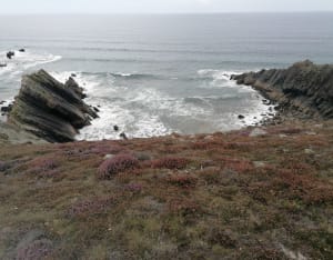 Een korte rondleiding door Cape Goat - Crozon - 263