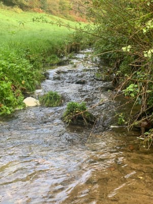 Au cœur de Rieupeyroux et balader sur le chemin de Bessière - Rieupeyroux - 3