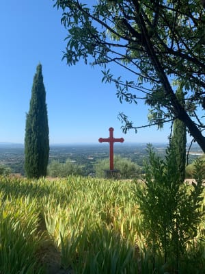 Sur les hauteurs de Beaume de Venise - Beaumes-de-Venise - 6