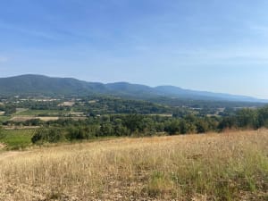 Dans les hauteurs de Cadenet - Cadenet - 10