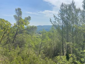 Dans les hauteurs de Cadenet - Cadenet - 11
