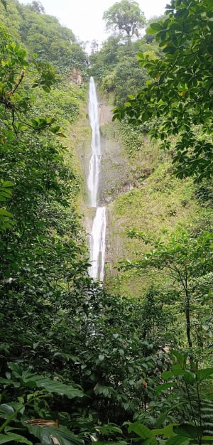 Aller-retour aux Chutes Moreau - Goyave - 5