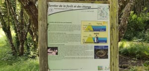 Parcours de santé de Saint-Gence et Puy Boursaud - Saint-Gence - 3