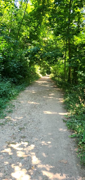 De Misérieux à Ars via le bois de Cibeins - Misérieux - 7