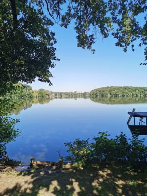 Marche ensoleillé au camping 《le refuge des pêcheurs》 - Holving - 8