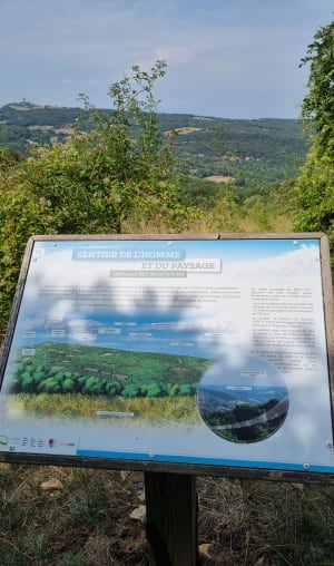 Autour du sentier des rapaces et du Mont Cindre - Saint-Cyr-au-Mont-d'Or - 4