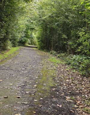 Douai :  la croisée des chemins - Douai - 10