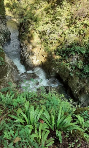 Etre saisi par les gorges de la Saine et de la Langouette - Les Planches-en-Montagne - 36