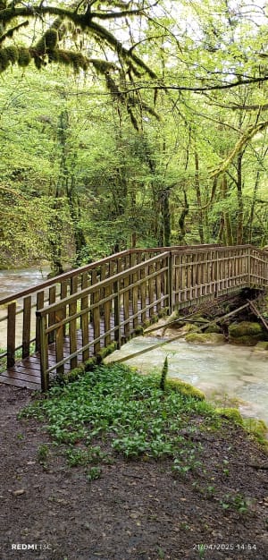 Cascade de la Brive - Marchamp - 56