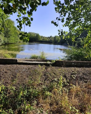 Fossé des Allemands par Gauchy - Gauchy - 4