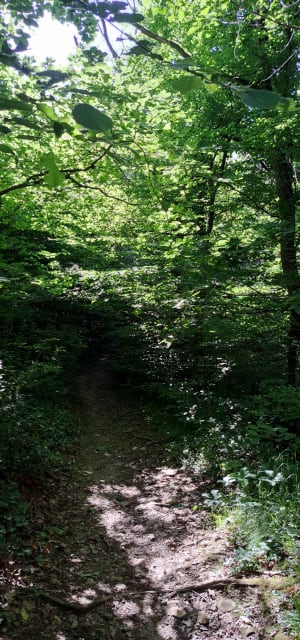 Petite balade autour de Vaulx-Milieu - Nath - 5