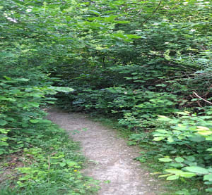 Petite balade autour de Vaulx-Milieu - Nath - 6