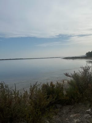 Les Aresquiers - Vic-la-Gardiole - 3