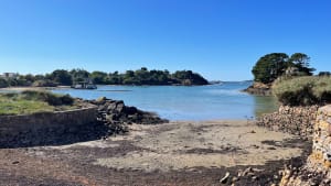 Bréhat, île aux fleurs et paradis micro-méridional - île-Bréhat - 45