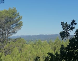 Balade colline des Gardis à Cadenet - Cadenet - 11