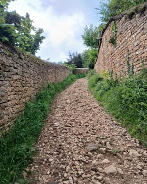 Mont Thou en zijn cabornes, overblijfselen uit het verleden - Saint-Cyr-au-Mont-d'Or - 55
