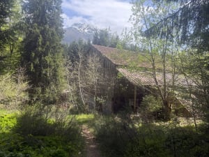 Balade forestière au lac de Freydières - Revel - 16