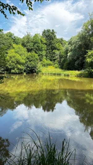 Tour des Côtes de Montbron à Jouy-en-Josas - Saclay - 3