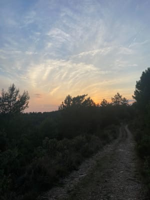 Het achterland van Grasse en een prachtig panorama - Grasse - 34