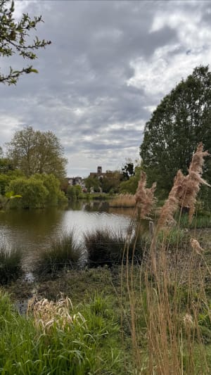 Marais de Saint-Blaise - La Ferté-Alais - 5