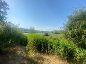 Saint-Aignan-Grandlieu, son lac, ses vignes et ses bocages - Saint-Aignan-Grandlieu - 3