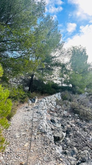 Randonnée au Gros Cerveau - Sanary-sur-Mer - 17