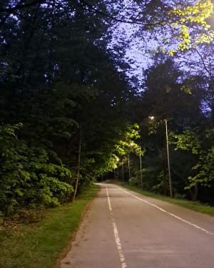 Katowice - pętla po Parku Śląskim - Ewelina - 9