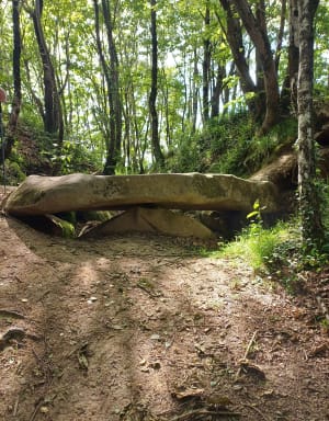 Dolmen du Pouey-Mayou - Bartrès - 6