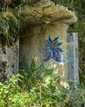 Source de l'Ain, cascade et promenade au fil de l'eau - Nozeroy - 24