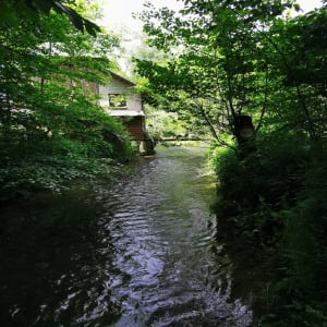 Randonnée au départ de Brionne - Brionne - 11