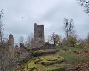 Château médiéval du Haut-Barr et ses vues somptueuses - Saverne - 10