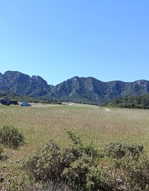 De l'envol aux vignes. - Saint-Rémy-de-Provence - 8