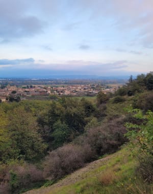 Bain de culture et flâneries de Champagne à Peyraud - Champagne - 12