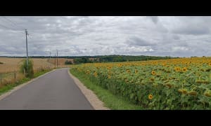 Petite balade digestive dans le Vexin français - Saint-Cyr-en-Arthies - 3