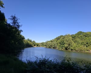 D'étang en étang à travers la forêt de Versailles - Emmanuelle - 3