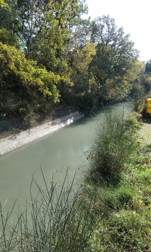 Sympathique ballade dans les Monts du Vaucluse - Pernes-les-Fontaines - 7