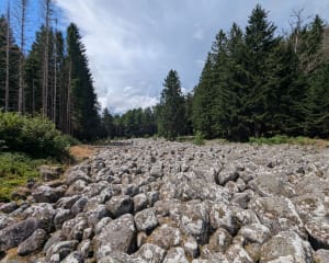 Le Champ de Roches par les Gouttelles - Arrentès-de-Corcieux - 12