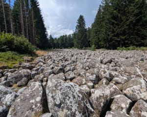Le Champ de Roches par les Gouttelles - Arrentès-de-Corcieux - 13