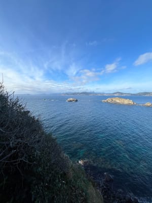 Presqu'île de Giens et périple entre voiles marines et goélands - Hyères - 8