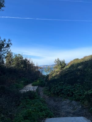 Presqu'île de Giens et périple entre voiles marines et goélands - Hyères - 9