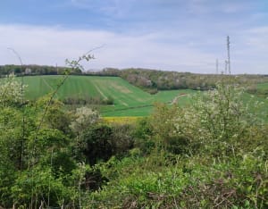 Coteaux de la Seine et beautés naturelles du Vexin - La Roche-Guyon - 20