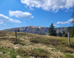Sentier des Roches au départ des Trois Fours - Melany - 14