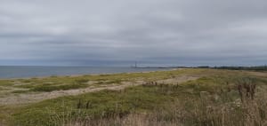 Balade à Néville sur mer - Vicq-sur-Mer - 8