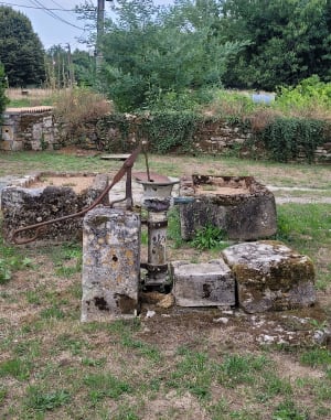Randonnée de l’étang des Brousses - Rioux - 7
